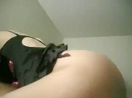 Babe sucks cock and rides plus rough doggy