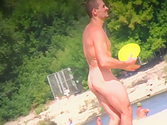 Cocks On The Beach